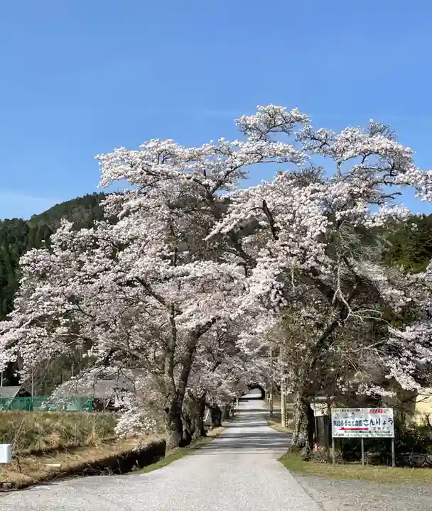 常照皇寺の自然