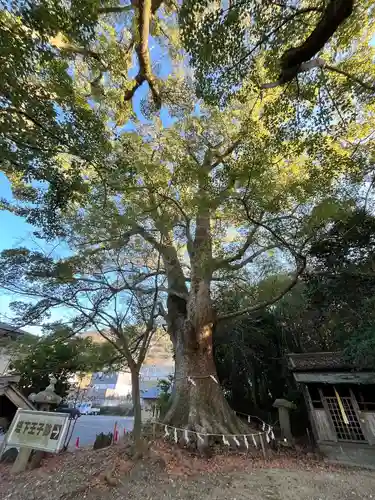 藤白神社(和歌山県)