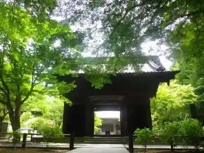 妙本寺の山門・神門