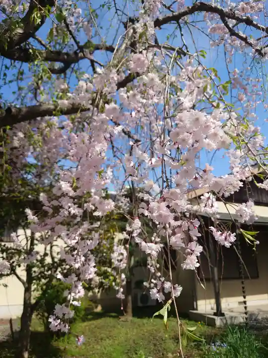東興寺(神奈川県)
