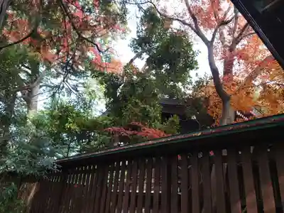 城山熊野神社の本殿・本堂