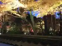 禅林寺(永観堂)(京都府)