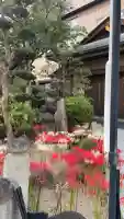 瑞光寺(大阪府)