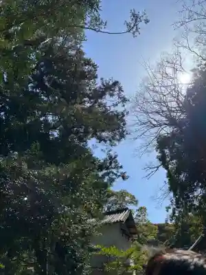 安房神社の{uncategorized: "未分類", other: "その他", undefined: "問題あり", building: "その他建物", grave: "お墓", sacred_gate: "鳥居", guardian: "狛犬", statue: "像", buddha: "仏像", history: "歴史", nature: "自然", garden: "庭園", animal: "動物", pagoda: "塔", temizu: "手水舎", mountain_gate: "山門・神門", sanctuary: "本殿・本堂", subordinate: "末社・摂社", art: "芸術", scenery: "景色", jizo: "地蔵", ema: "絵馬", goshuin: "御朱印", omikuji: "おみくじ", items: "授与品その他", amulet: "お守り", goshuincho: "御朱印帳", eats: "食事", festival: "お祭り", votive_dance: "神楽", shichigosan: "七五三参", wedding: "結婚式", experience: "体験その他", initially: "初詣", around: "周辺", anti_infection: "感染症対策"}