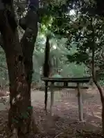 鷲神社(千葉県)