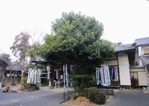 中之坊寺のその他建物