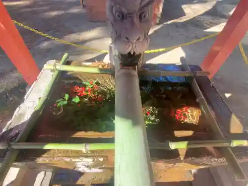 開運招福 飯玉神社(群馬県)