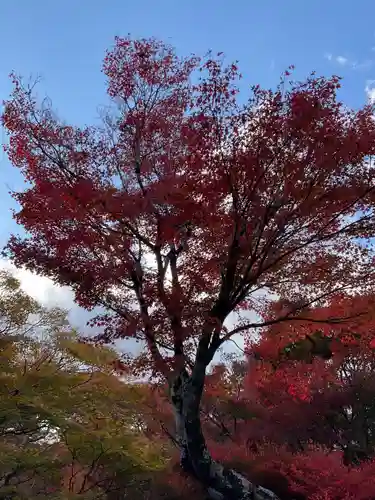 宝筐院(京都府)