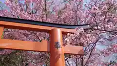 平野神社の自然