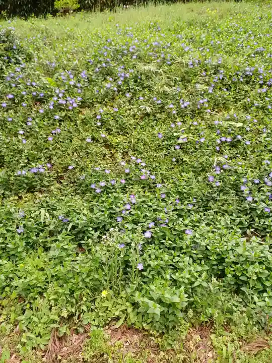 白狐山光星寺(山形県)