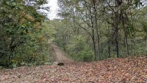 大國神社の景色