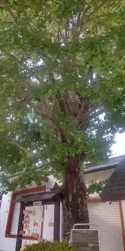 葛飾氷川神社(東京都)