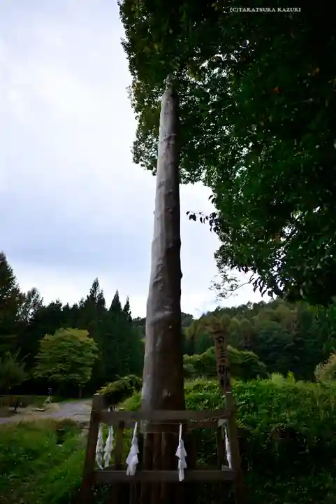 諏訪大社上社前宮(長野県)