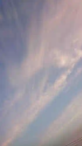 尾張大國霊神社（国府宮）の自然