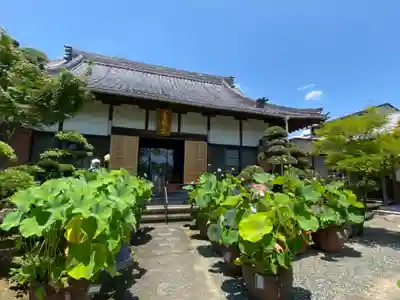 香勝寺の本殿・本堂