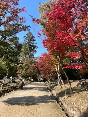 醍醐寺(京都府)