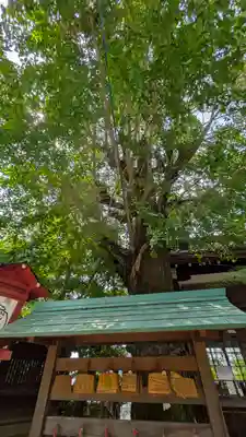 松ヶ崎大黒天 妙圓寺（妙円寺）(京都府)