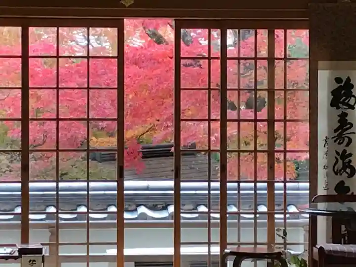 来迎寺(井戸来迎寺・紫雲山来迎寺)のその他建物