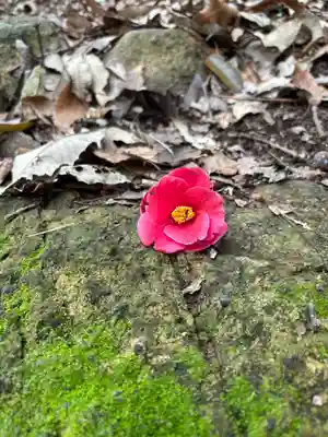 大日寺(兵庫県)