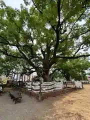 諫早神社（九州総守護  四面宮）(長崎県)