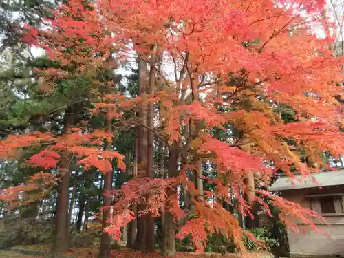 都々古別神社(八槻)の自然