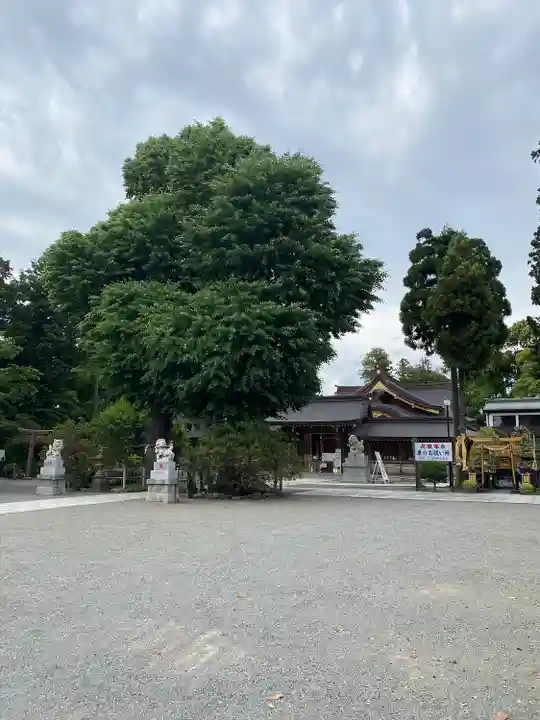 亀ケ池八幡宮(神奈川県)
