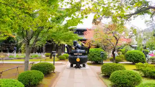 豪徳寺の庭園