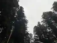 大宮温泉神社(栃木県)