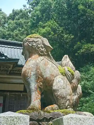 劒神社の狛犬