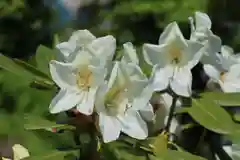 三春大神宮の庭園