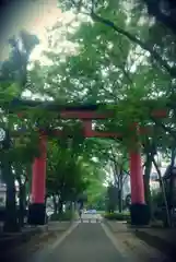 武蔵一宮氷川神社の鳥居