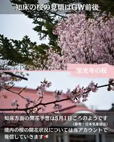 宝光寺(北海道)