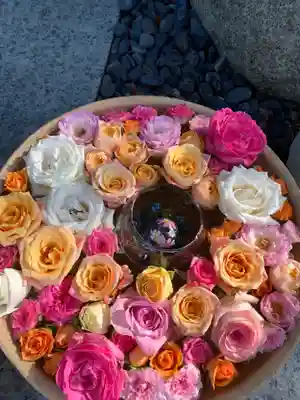 彌都加伎神社の手水舎