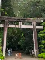 白山比咩神社の{uncategorized: "未分類", other: "その他", undefined: "問題あり", building: "その他建物", grave: "お墓", sacred_gate: "鳥居", guardian: "狛犬", statue: "像", buddha: "仏像", history: "歴史", nature: "自然", garden: "庭園", animal: "動物", pagoda: "塔", temizu: "手水舎", mountain_gate: "山門・神門", sanctuary: "本殿・本堂", subordinate: "末社・摂社", art: "芸術", scenery: "景色", jizo: "地蔵", ema: "絵馬", goshuin: "御朱印", omikuji: "おみくじ", items: "授与品その他", amulet: "お守り", goshuincho: "御朱印帳", eats: "食事", festival: "お祭り", votive_dance: "神楽", shichigosan: "七五三参", wedding: "結婚式", experience: "体験その他", initially: "初詣", around: "周辺", anti_infection: "感染症対策"}