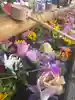 群馬県護国神社(群馬県)