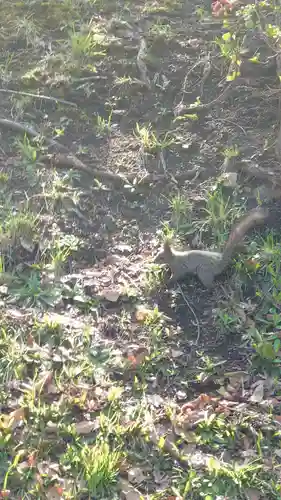 相馬神社(北海道)