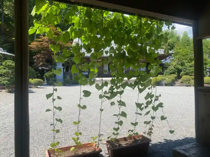 崇禅寺(群馬県)