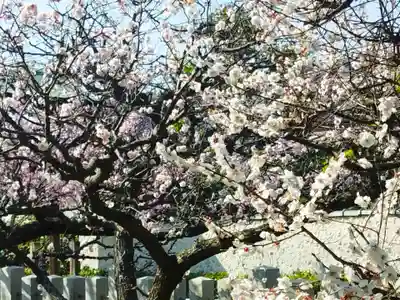 屯倉神社(大阪府)
