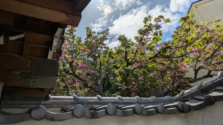 宝蔵寺(京都府)
