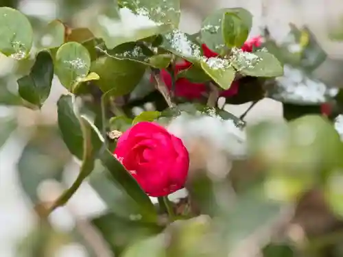 伊勢の国 四天王寺(三重県)