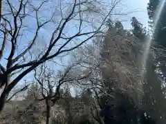 大宮温泉神社の自然