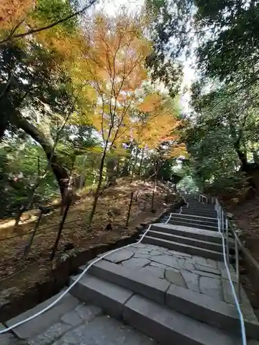 知恩院(京都府)