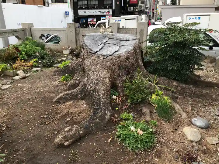 三輪神社の自然