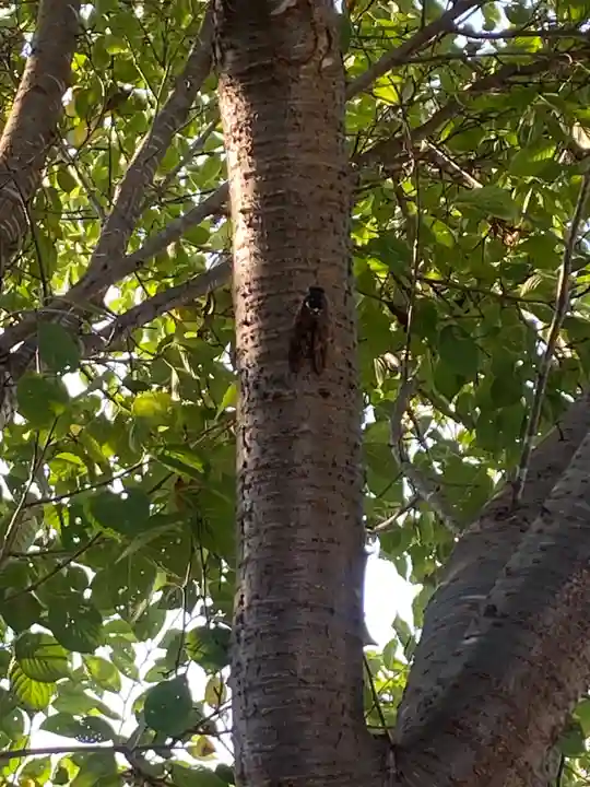 植田八幡神社(福島県)