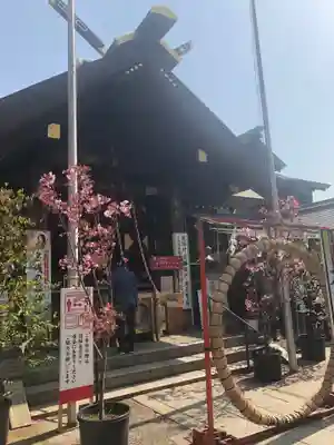 波除神社（波除稲荷神社）の本殿・本堂