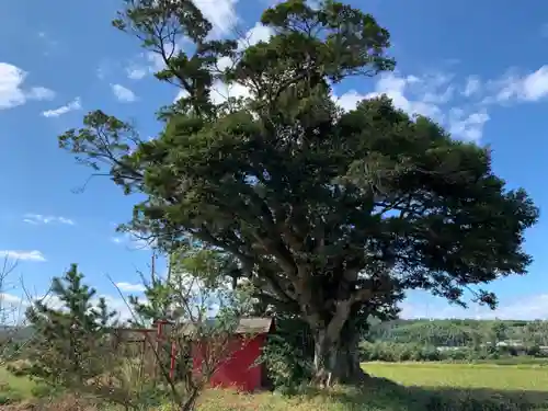 稲荷神社の景色