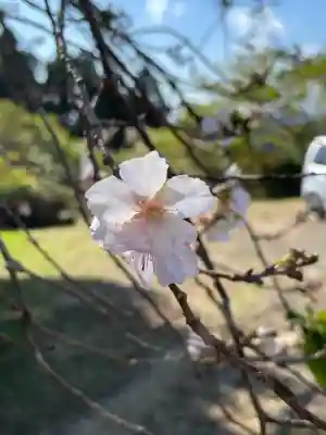 清澄寺(千葉県)