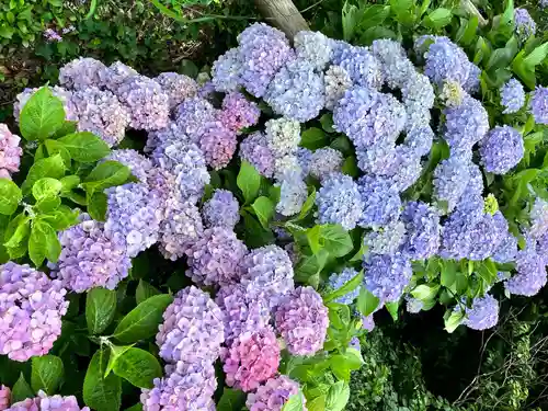 住吉神社(熊本県)