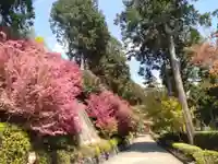 三室戸寺(京都府)