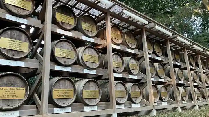 明治神宮(東京都)